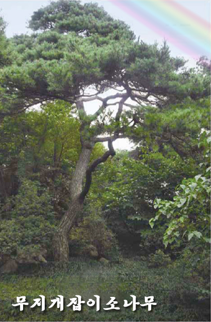 7-유서깊은 만경대